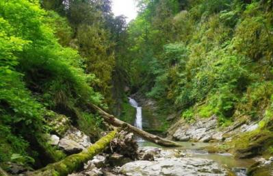 Река Дагомыс на Северном Кавказе: описание, водный туризм, рыбалка